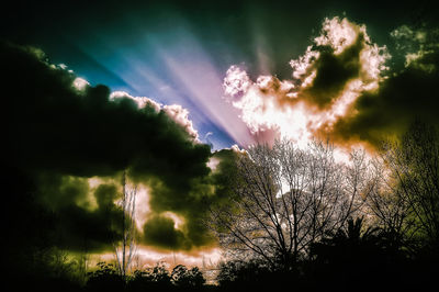 Low angle view of sunlight streaming through silhouette trees against sky