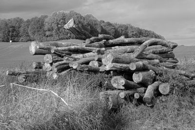 Stack of logs on field against sky