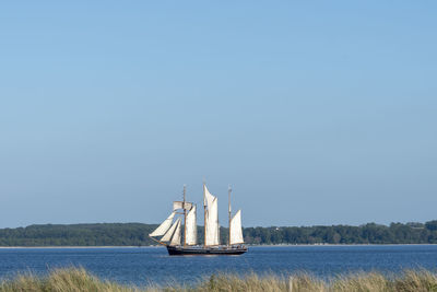 Sailboat sailing in sea against clear sky