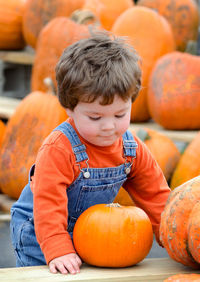  toddler in overalls tries to decide on a perfect pumpkin to be his halloween jack o lantern