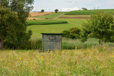 Scenic view of agricultural field