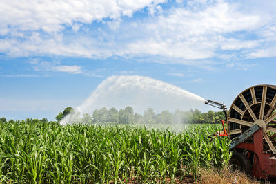 Panoramic shot of agricultural field against sky