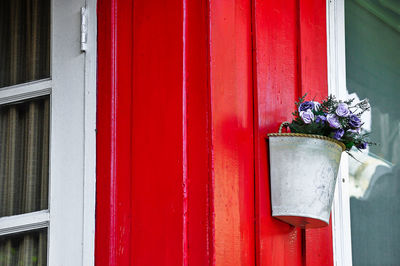 Close-up of red rose on door