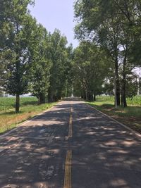 Road amidst trees against sky