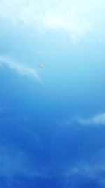 Low angle view of bird flying in sky