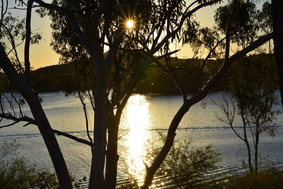 Silhouette trees by lake against sky during sunset