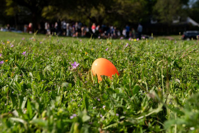 Close-up of yellow easter egg on field