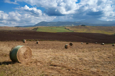 Scenic view of field against sky