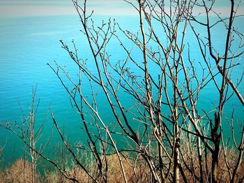 Scenic view of lake against clear blue sky