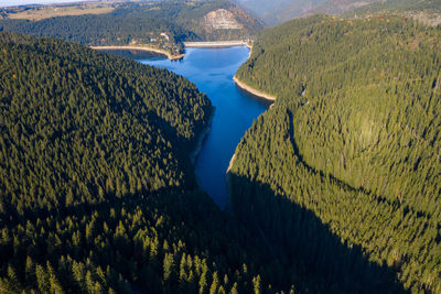 Aerial drone shot of a lake and green forest in belis, transylvania, romania