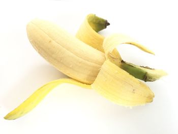 Close-up of fruit against white background