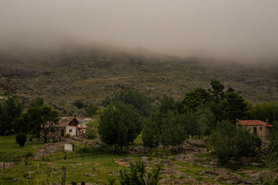 Trees and houses on mountain against sky