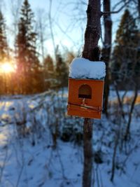 Close-up of birdhouse on snow covered field