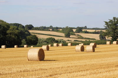 Hay bales on field against sky