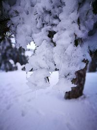 Close-up of snow