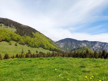 Scenic view of landscape against sky
