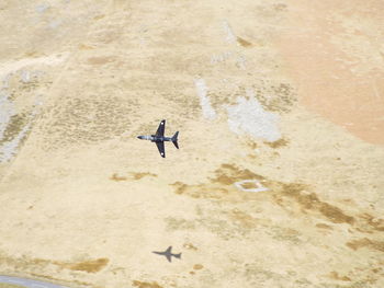 Aerial view of airplane with shadow on landscape