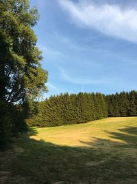 Trees on field against sky