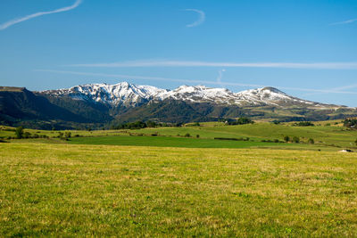 Scenic view of field and mountains against sky