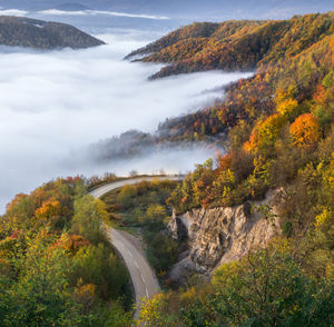 Road amidst trees against sky during autumn