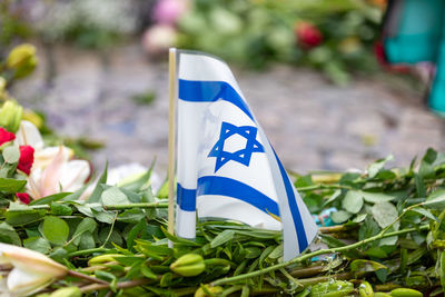 flag