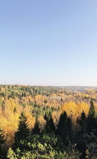 Scenic view of field against clear sky