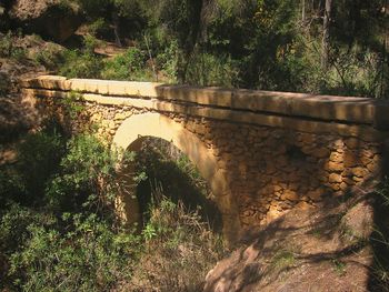 Building with trees in background