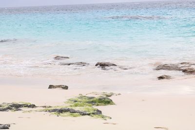 Empty sunny beach in bermuda