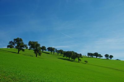 Scenic view of green landscape against blue sky