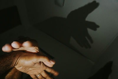 Close-up of cropped hands against shadow on wall at home