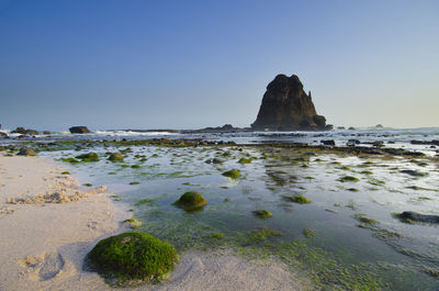 Scenic view of beach against clear sky