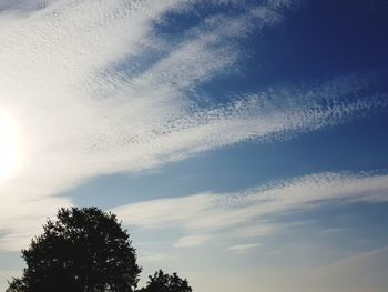 Low angle view of tree against sky