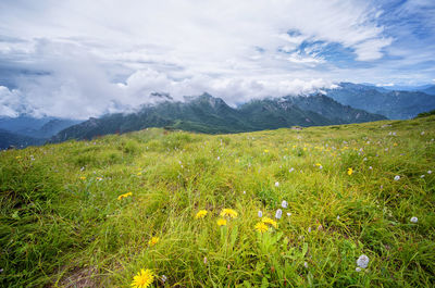 Scenic view of grassy field against cloudy sky