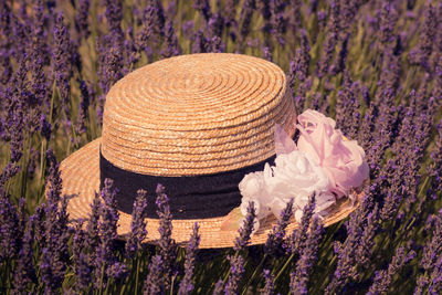 Close-up of hat amidst fresh purple flowers in field
