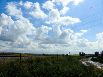 Scenic view of field against sky