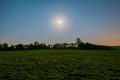 Scenic view of landscape against clear sky