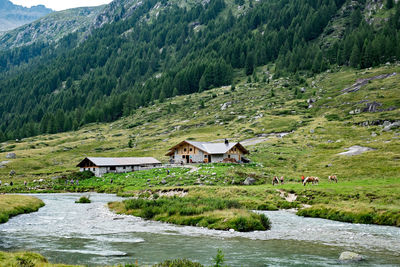 Houses on field by stream against mountain