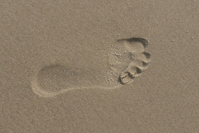 High angle view of footprints on sand