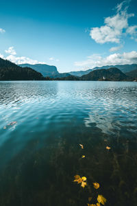 Scenic view of lake against blue sky