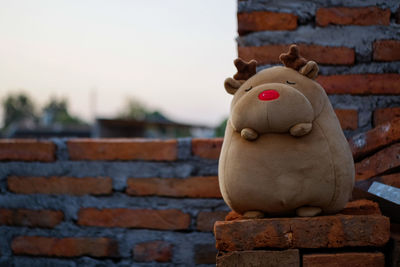 Close-up of stuffed toy against brick wall