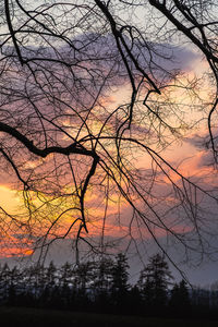 Low angle view of silhouette bare trees against sky during sunset