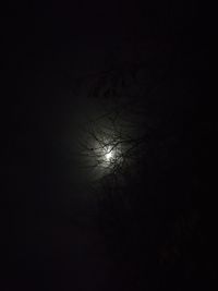 Low angle view of silhouette bare tree against sky at night