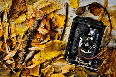 Directly above shot of old camera with fallen autumn leaves on table