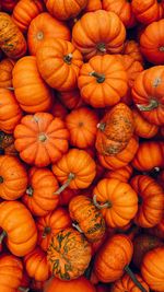 Full frame shot of pumpkins at market