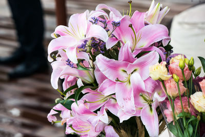 Close-up of pink flowers