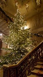 Low angle view of illuminated christmas tree at home