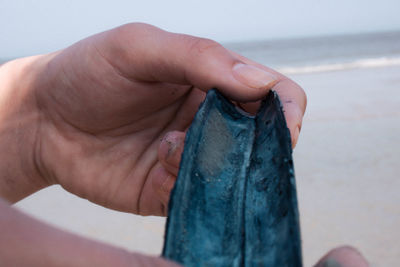 Close-up of hand holding water at beach