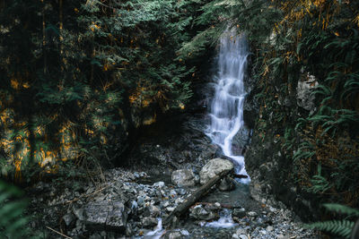 View of waterfall in forest