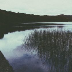 Close-up of reflection of tree in lake against sky