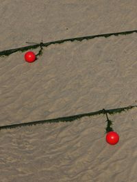 High angle view of buoys and ropes at sandy beach